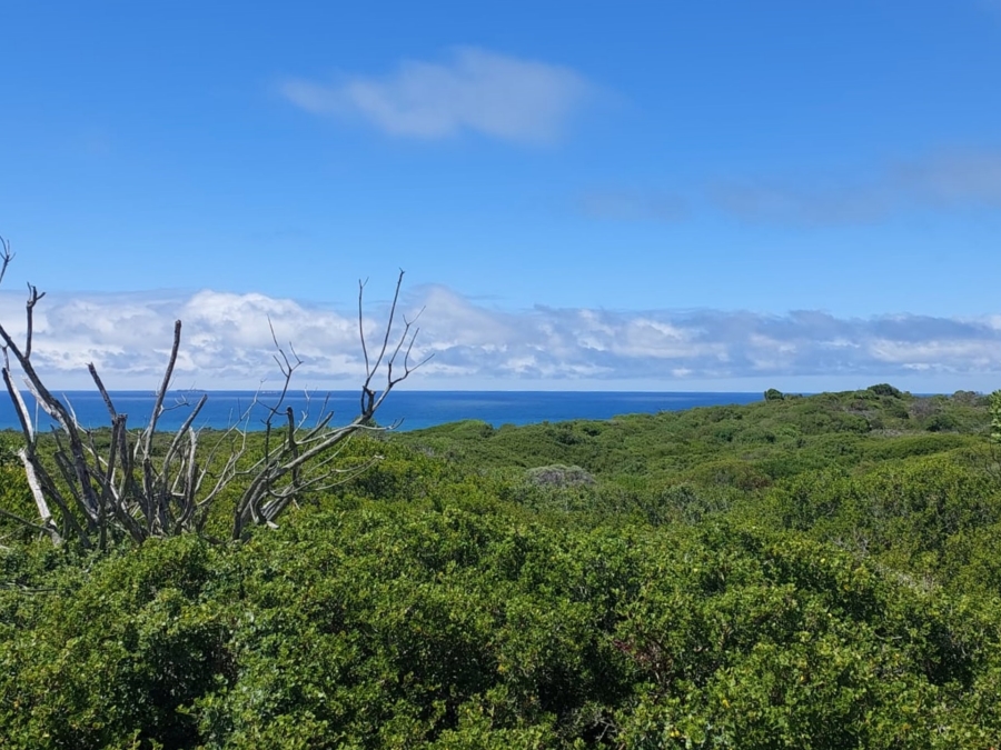 0 Bedroom Property for Sale in Agulhas Western Cape